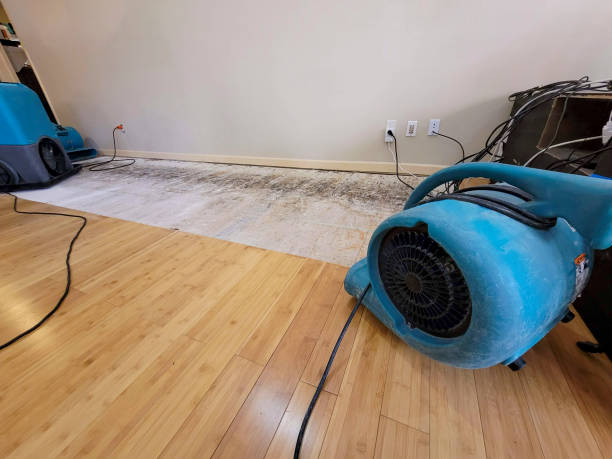 Professional Structural Drying technician working in Deer Isle, ME